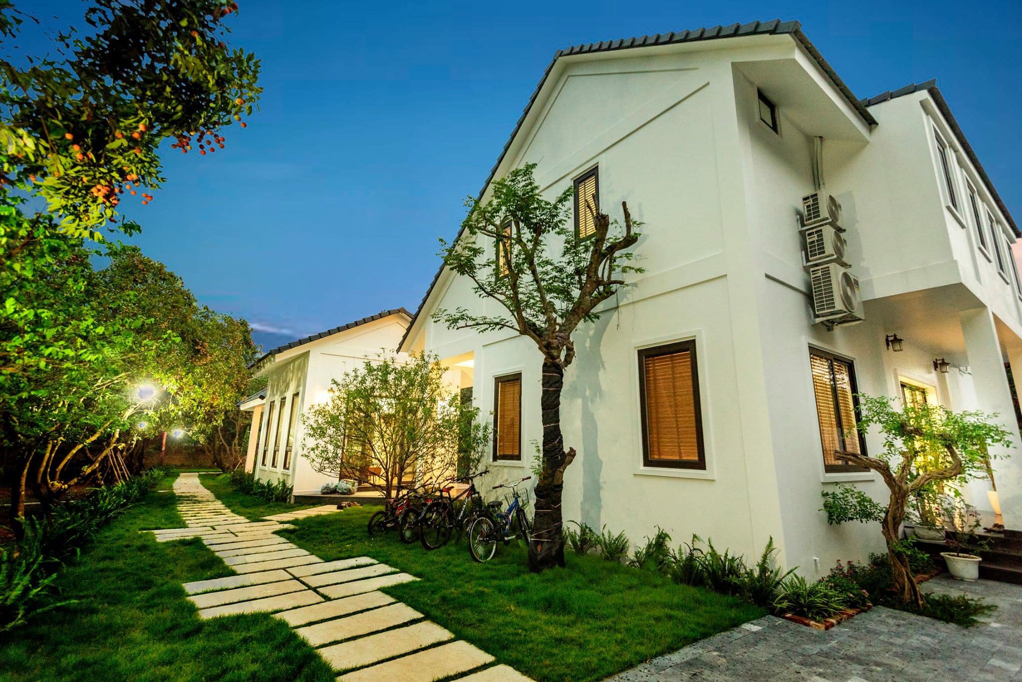 79097490_817515832003984_8715864673796227072_n