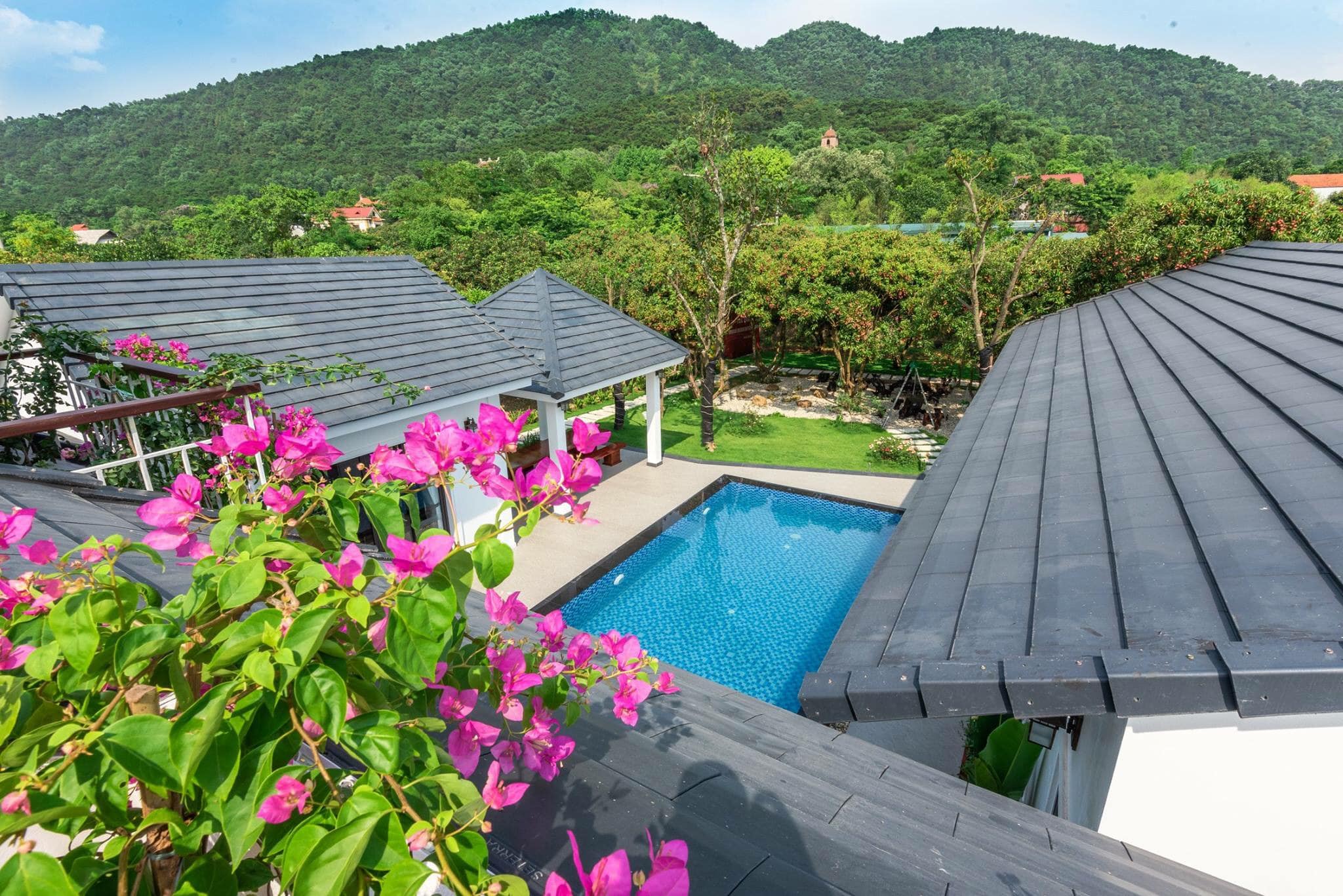 79829786_817515642004003_2955043263217664000_n