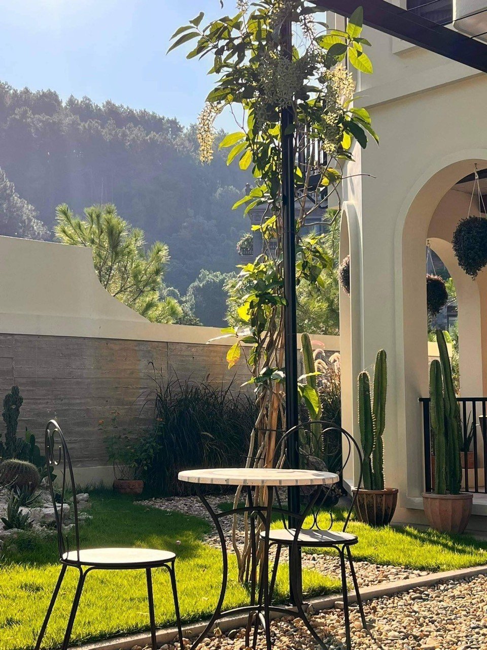 96802dbf728df7900b26d4e6591fa7fe