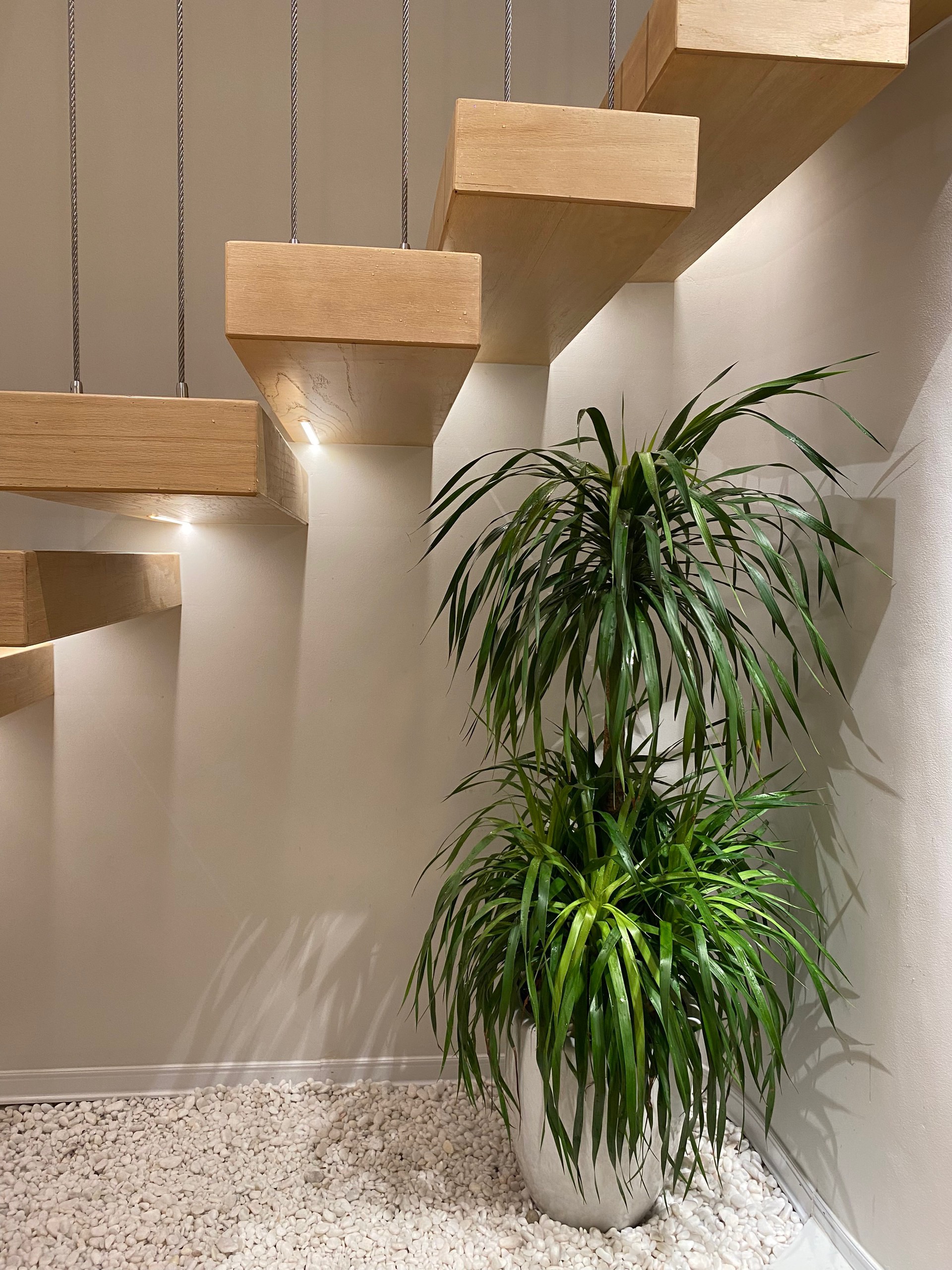 4F0EA7EB-F0F5-4899-BCDD-D7FBE9E0B88B