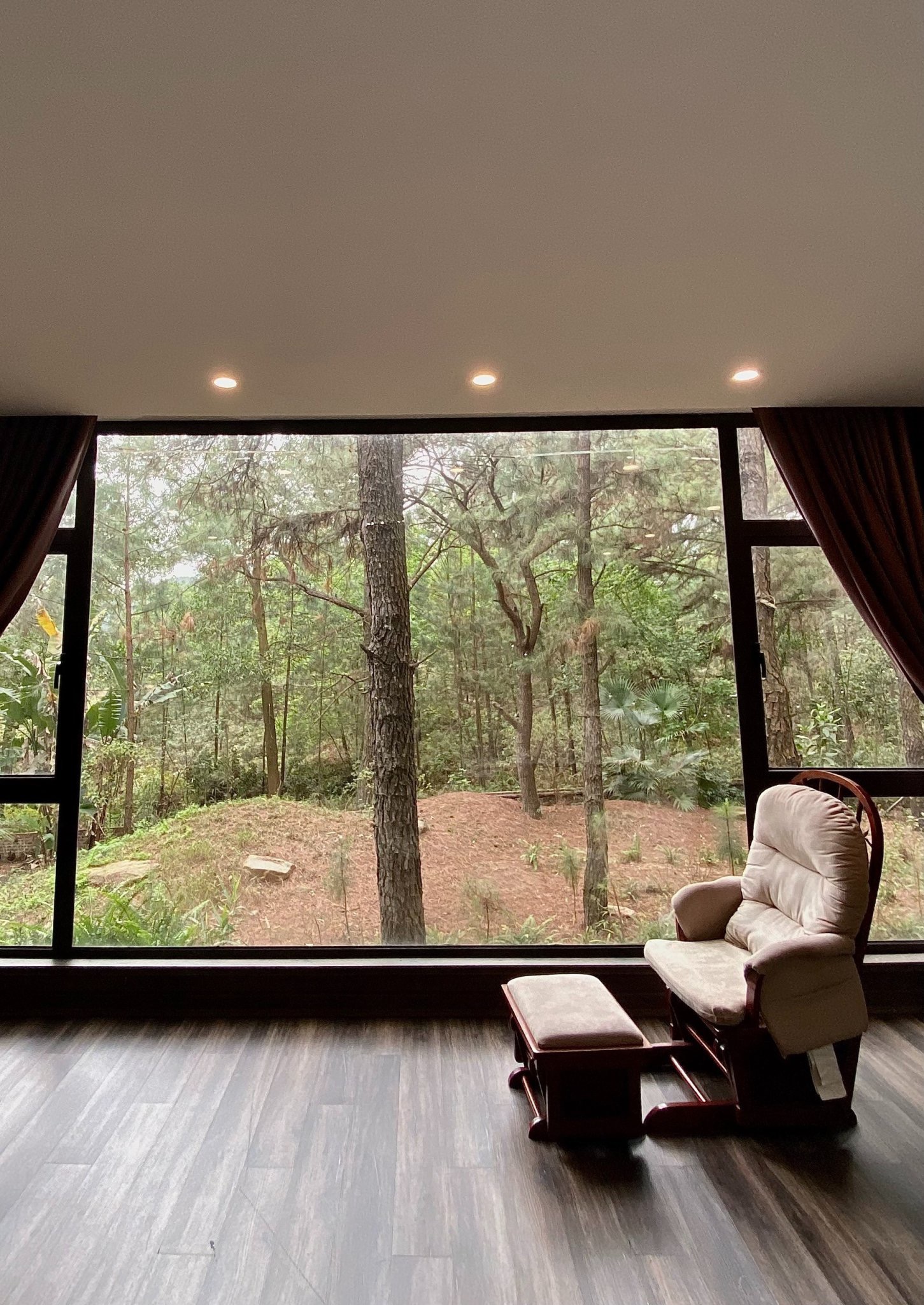 C7C24820-78AF-4B61-8838-42DE1259C246