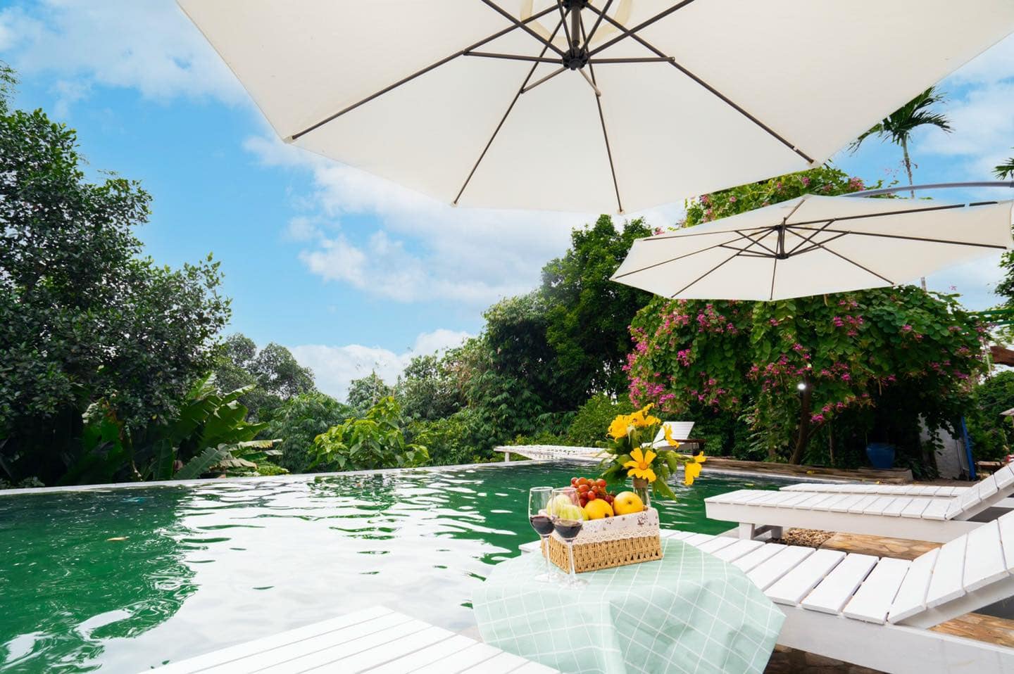 457105777_2038829153217316_8378329599312459640_n