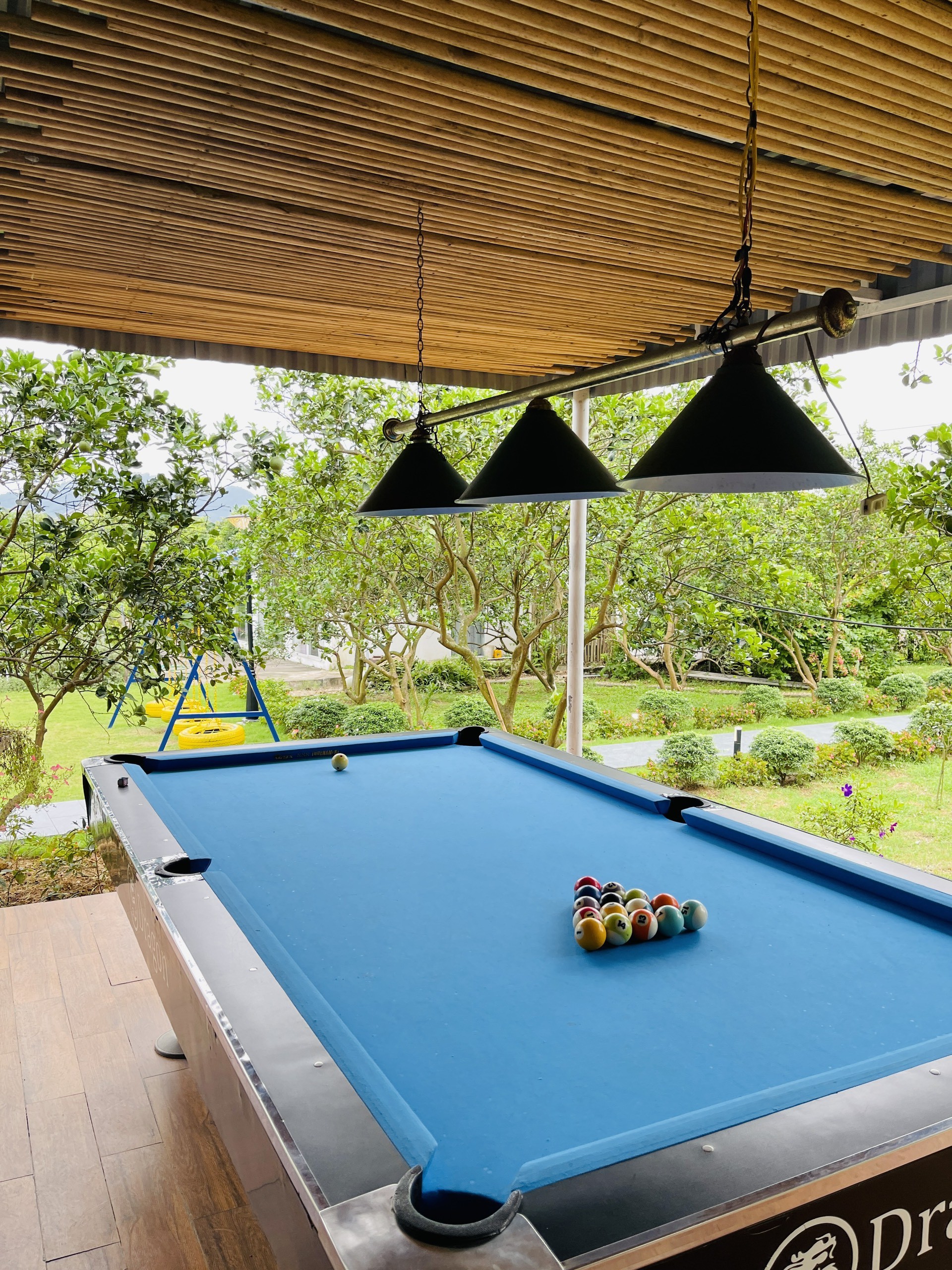 z5711078556222_93dd0189ed08e43cd4a706c513dac42e