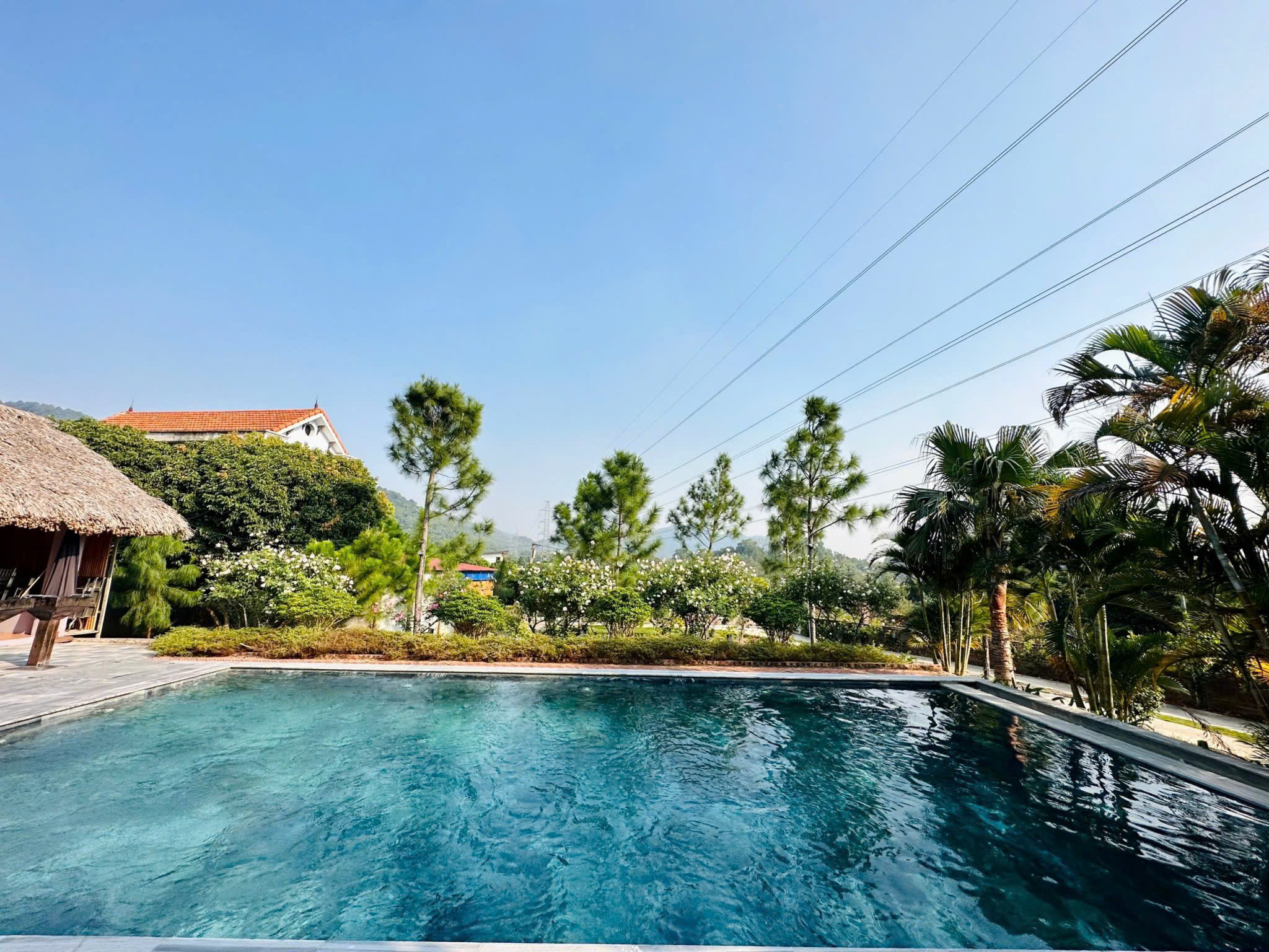 z6515018943749_89ce8d820d604cdd4ade8e2c9776960c